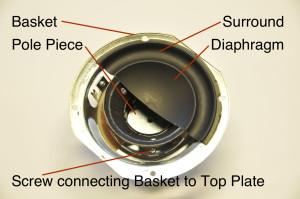 A BeoLab 3 woofer, showing some of the components.