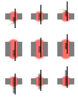 Figure X: